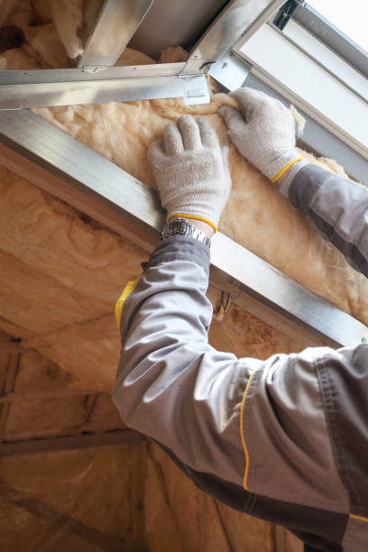 Best Cellulose Insulation in Corcoran, MN
