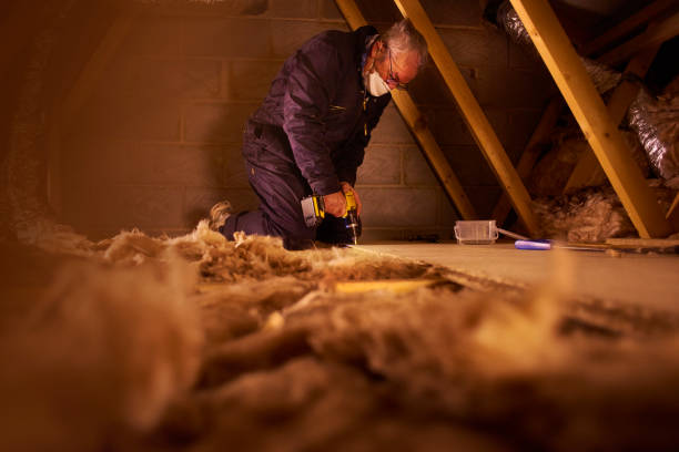 Best Eco-Friendly Insulation in Corcoran, MN